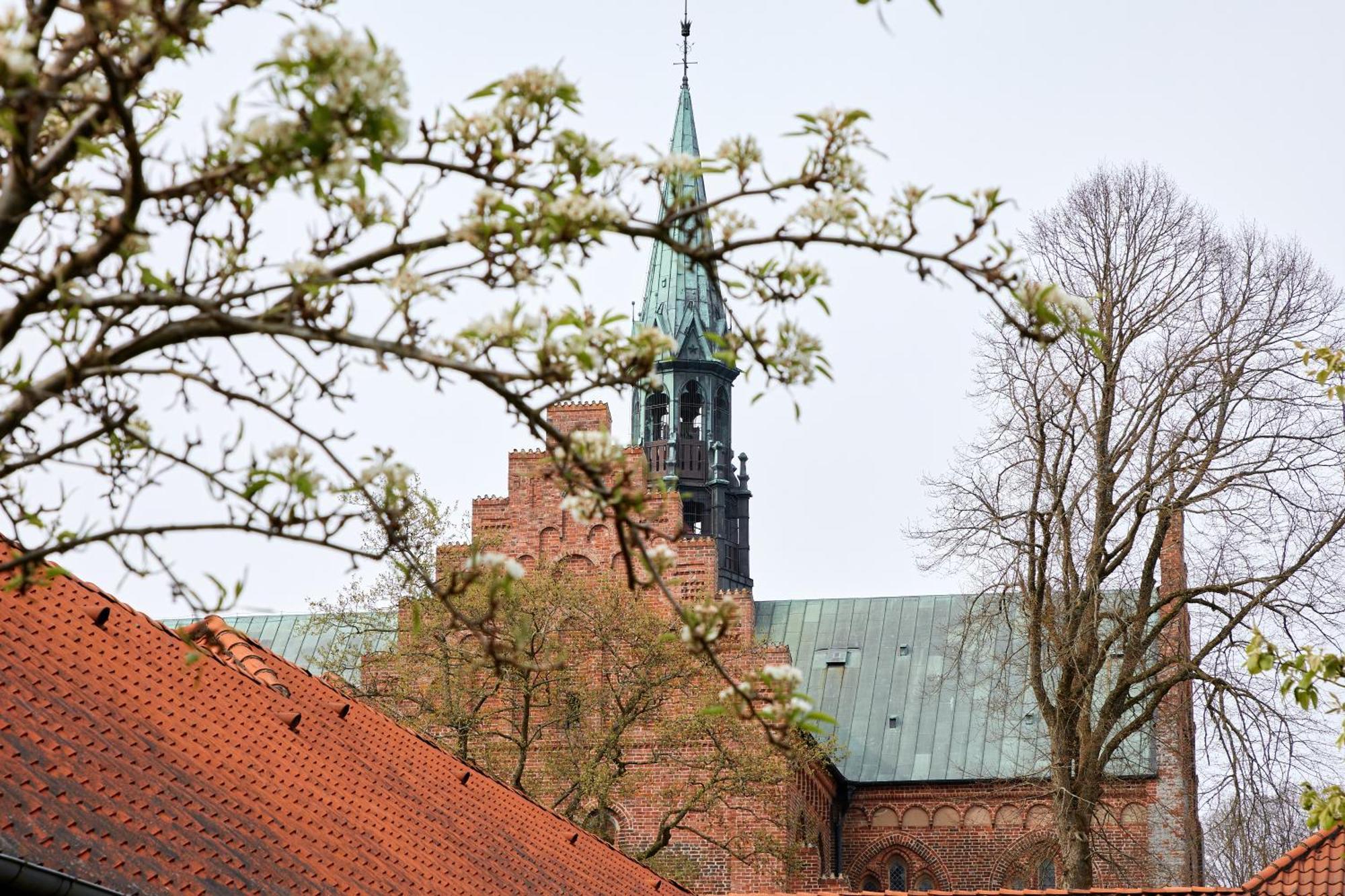 Logumkloster Refugium Kültér fotó